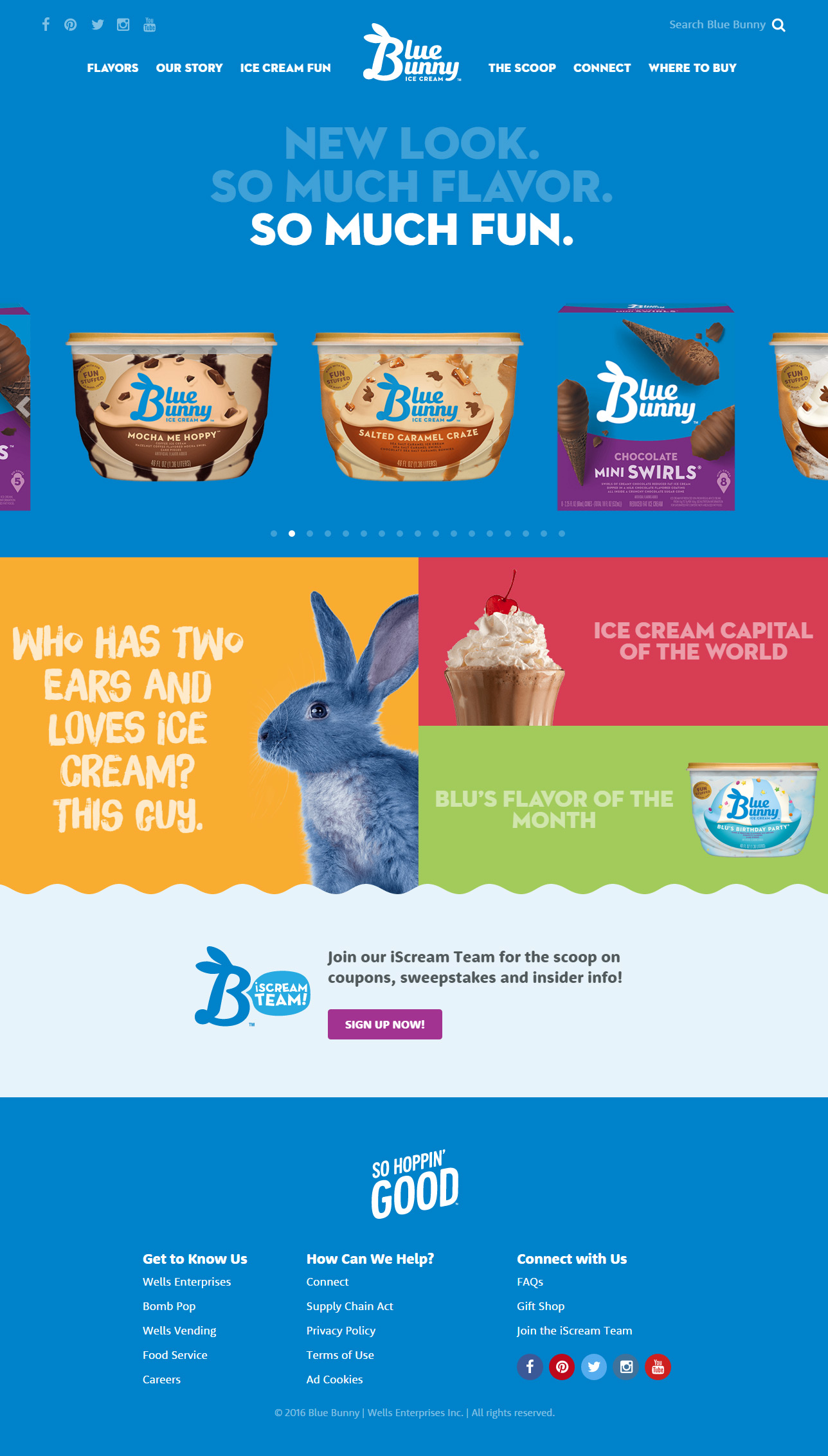 blue bunny new website design homepage