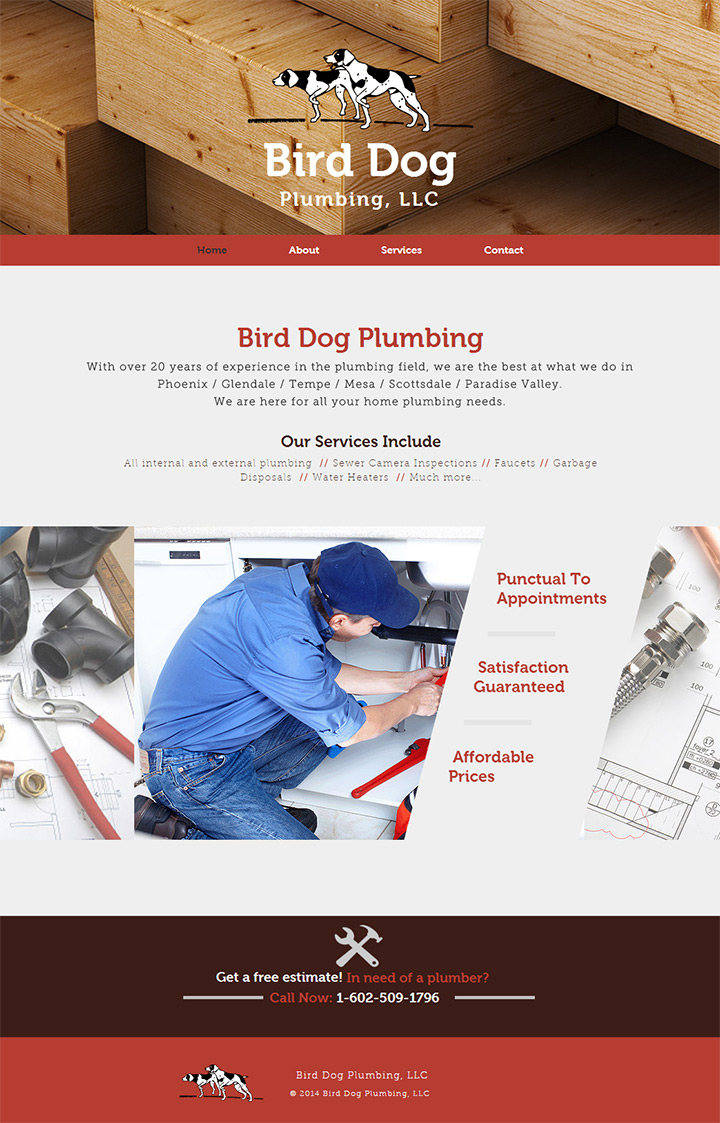 bird dog plumbing