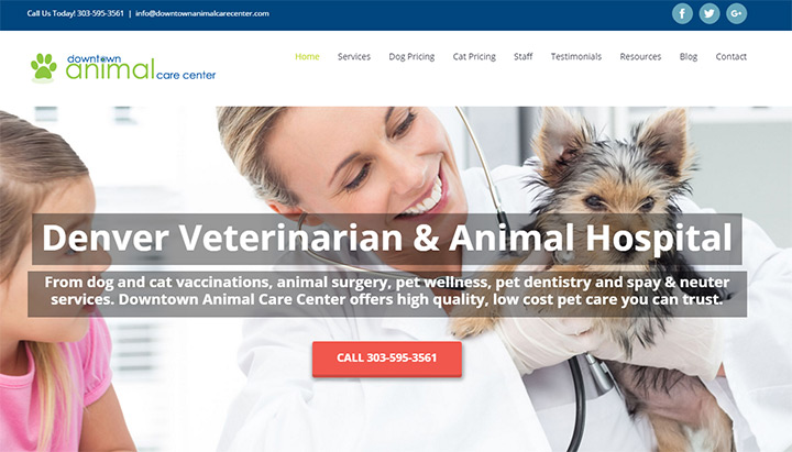 downtown vet care