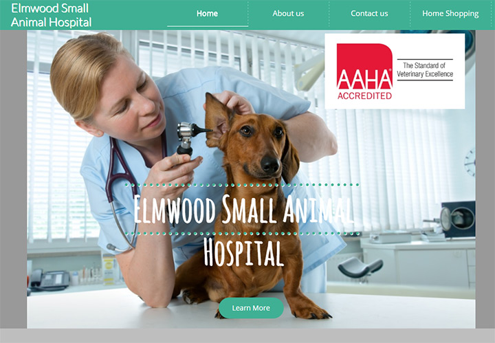 elmwood animal hospital