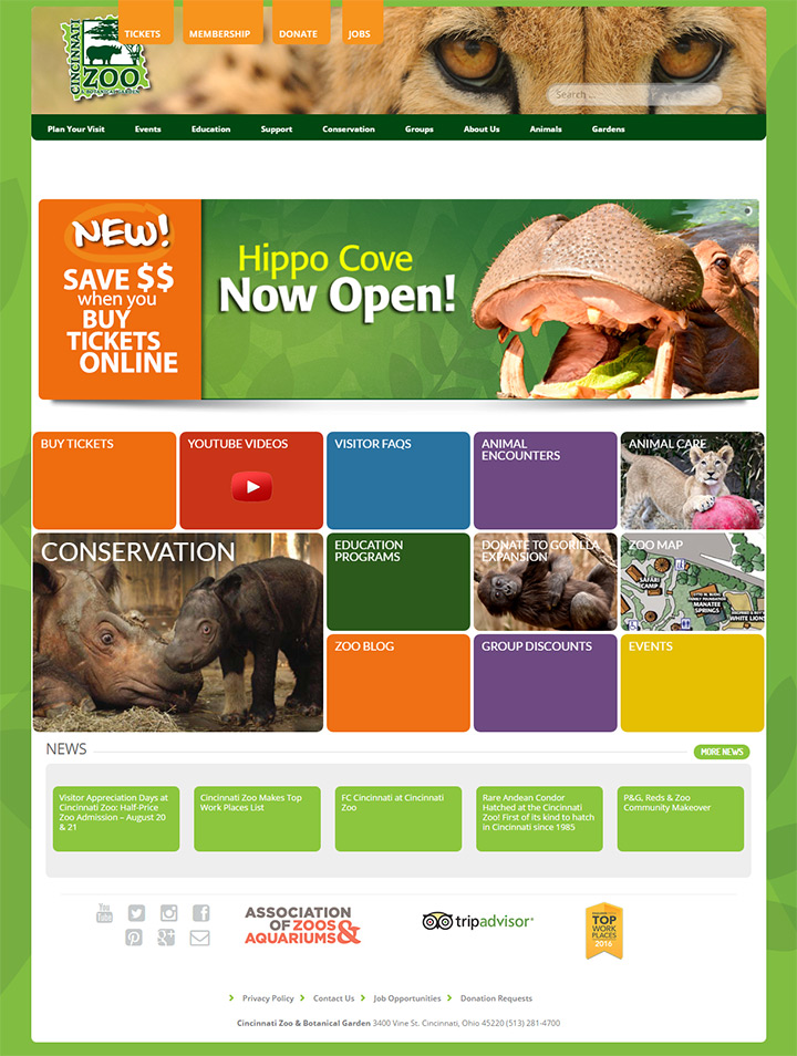 100+ Zoo Websites For Web Design Inspiration