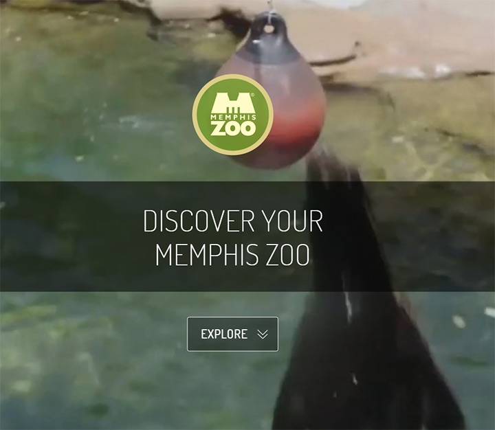 memphis zoo