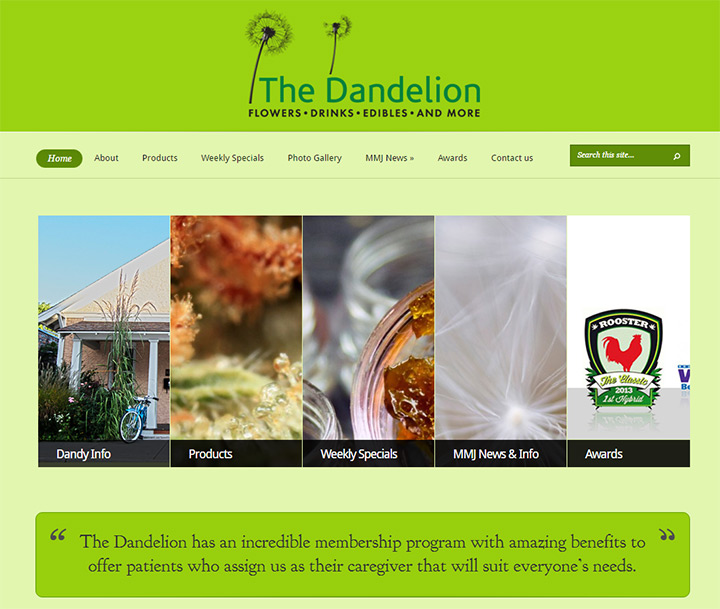 the dandelion