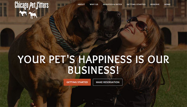 chicago pet sitters