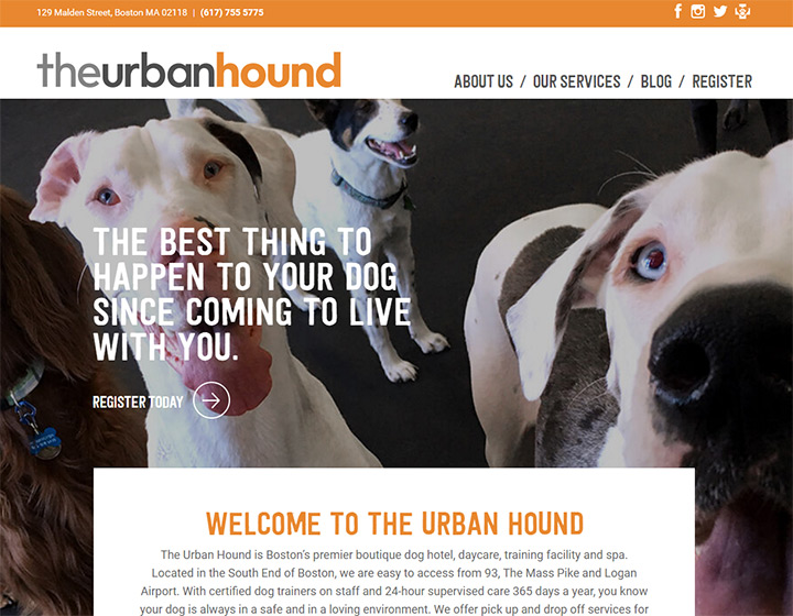 urban hound
