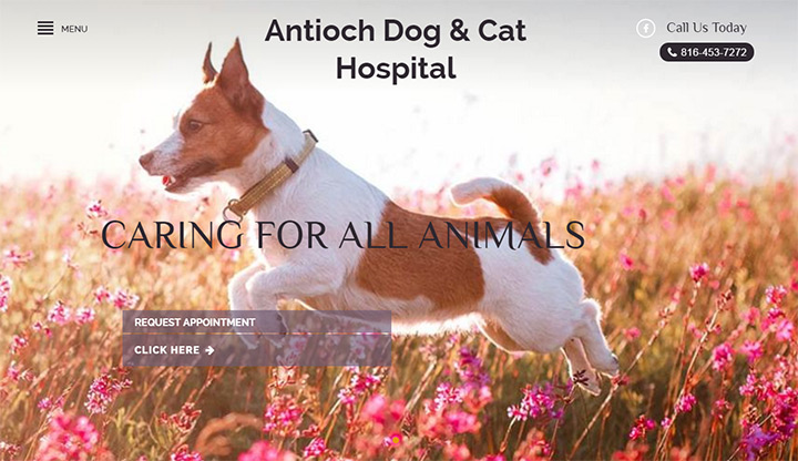 antioch dog cat