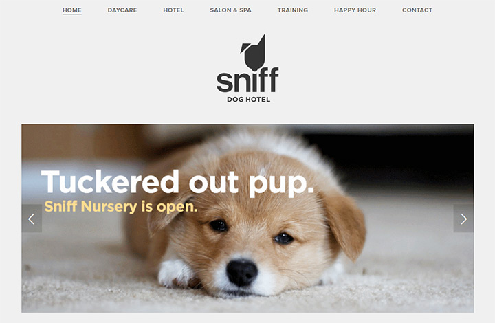 sniff dog hotel
