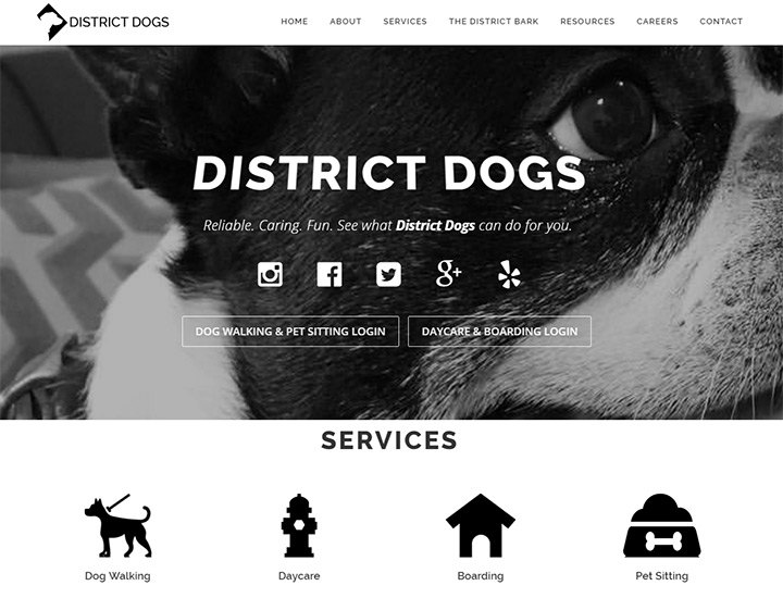 district dogs