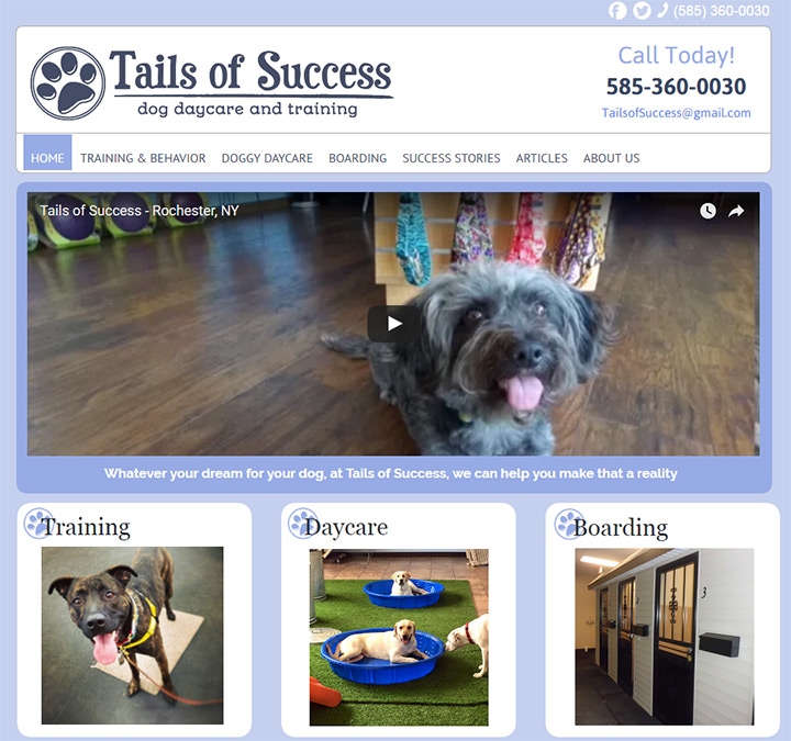 tails of success